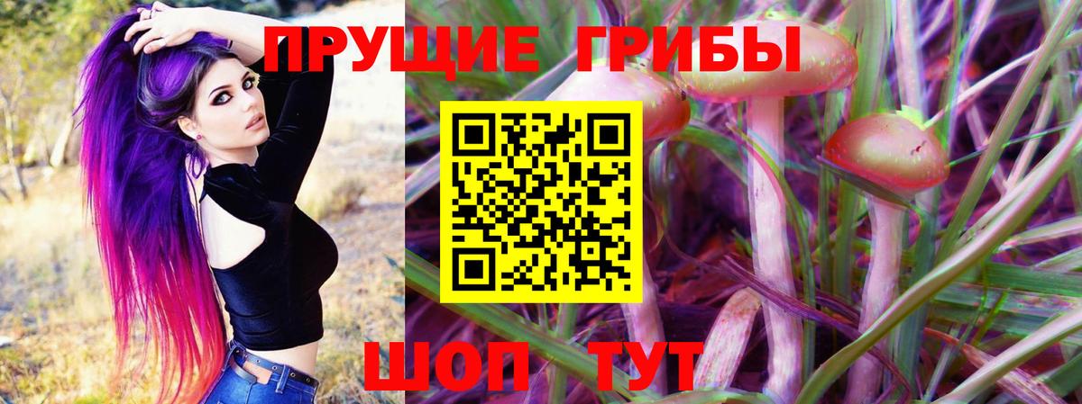 Псилоцибиновые грибы мицелий  Вход с VPN  Псилоцибиновые грибы GOLDEN TEACHER  Ишим 